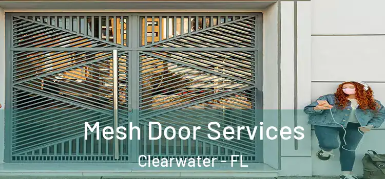 Mesh Door Services Clearwater - FL